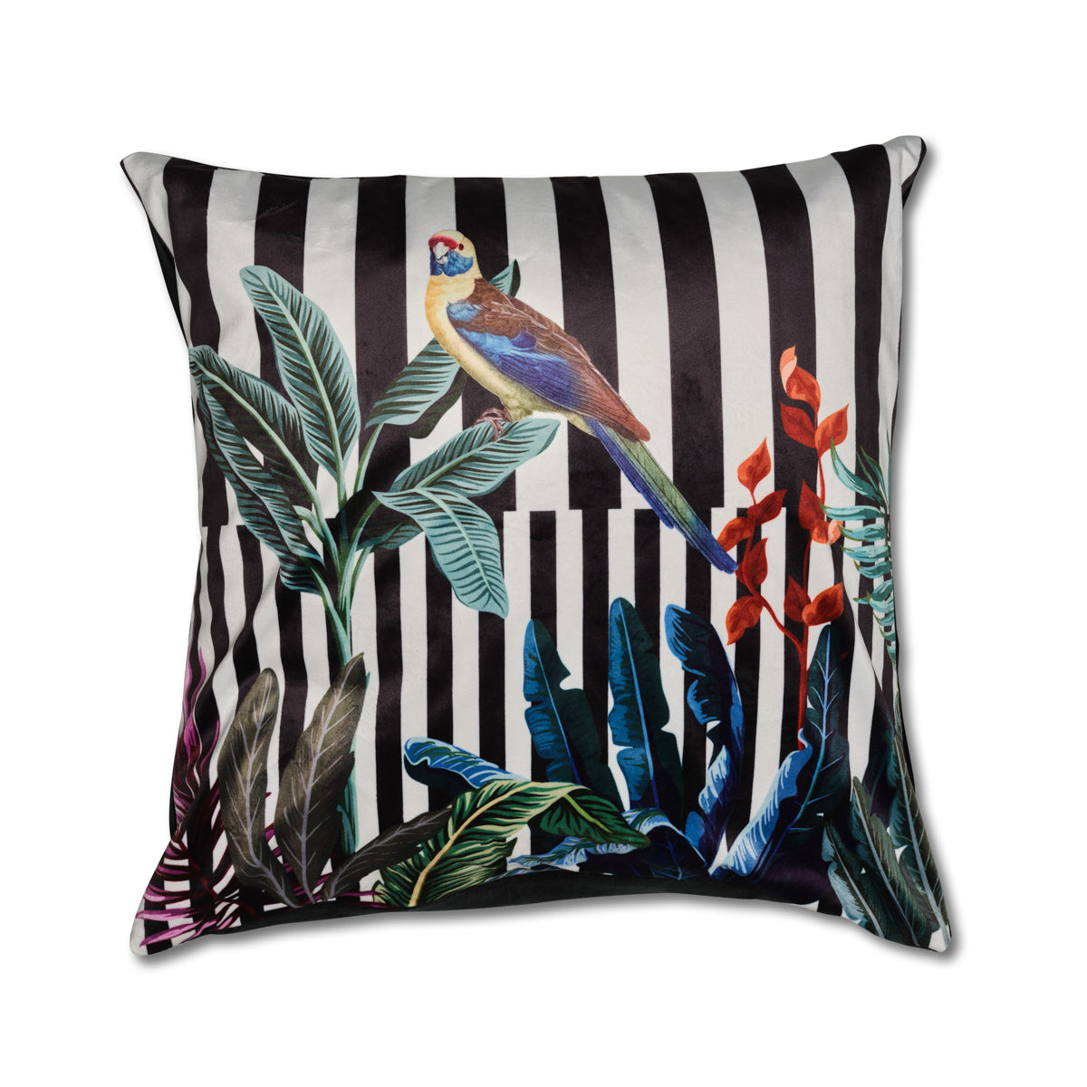 Cuscino Pappagallo