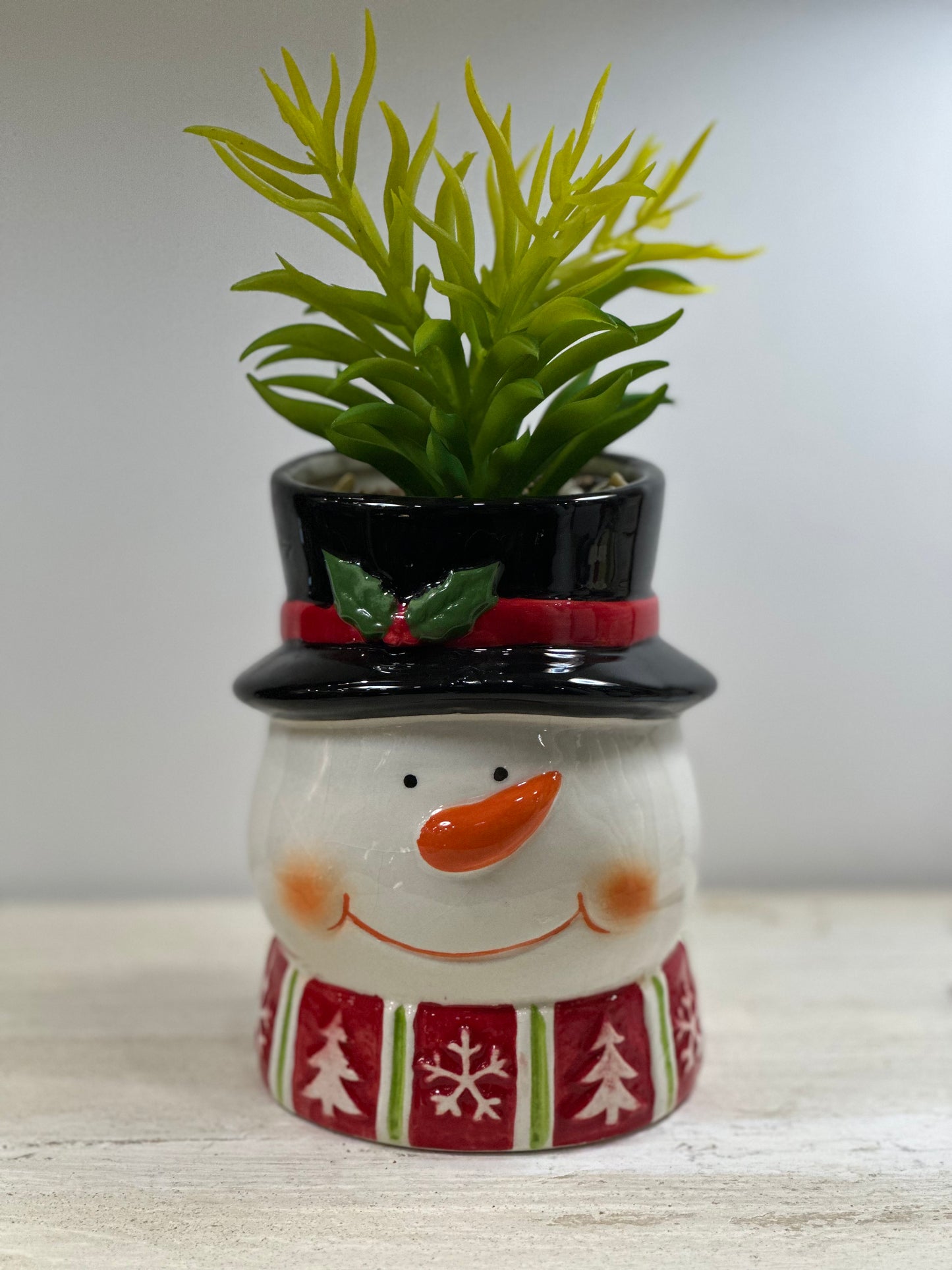 Piantina Natalizia Pupazzo di neve