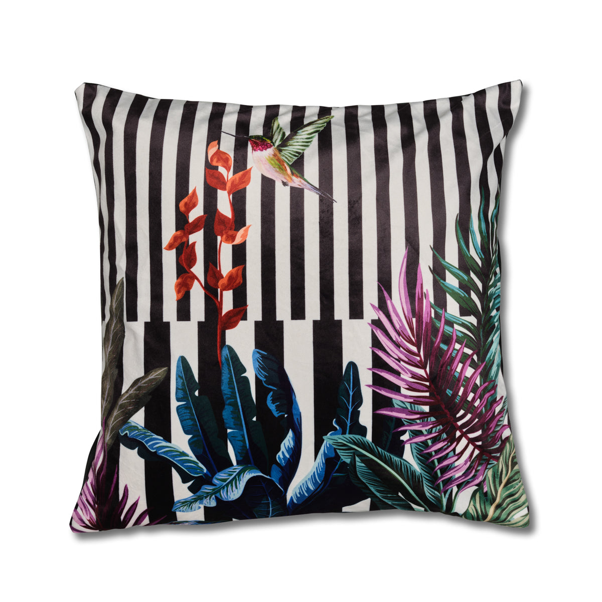 Cuscino Colibrì