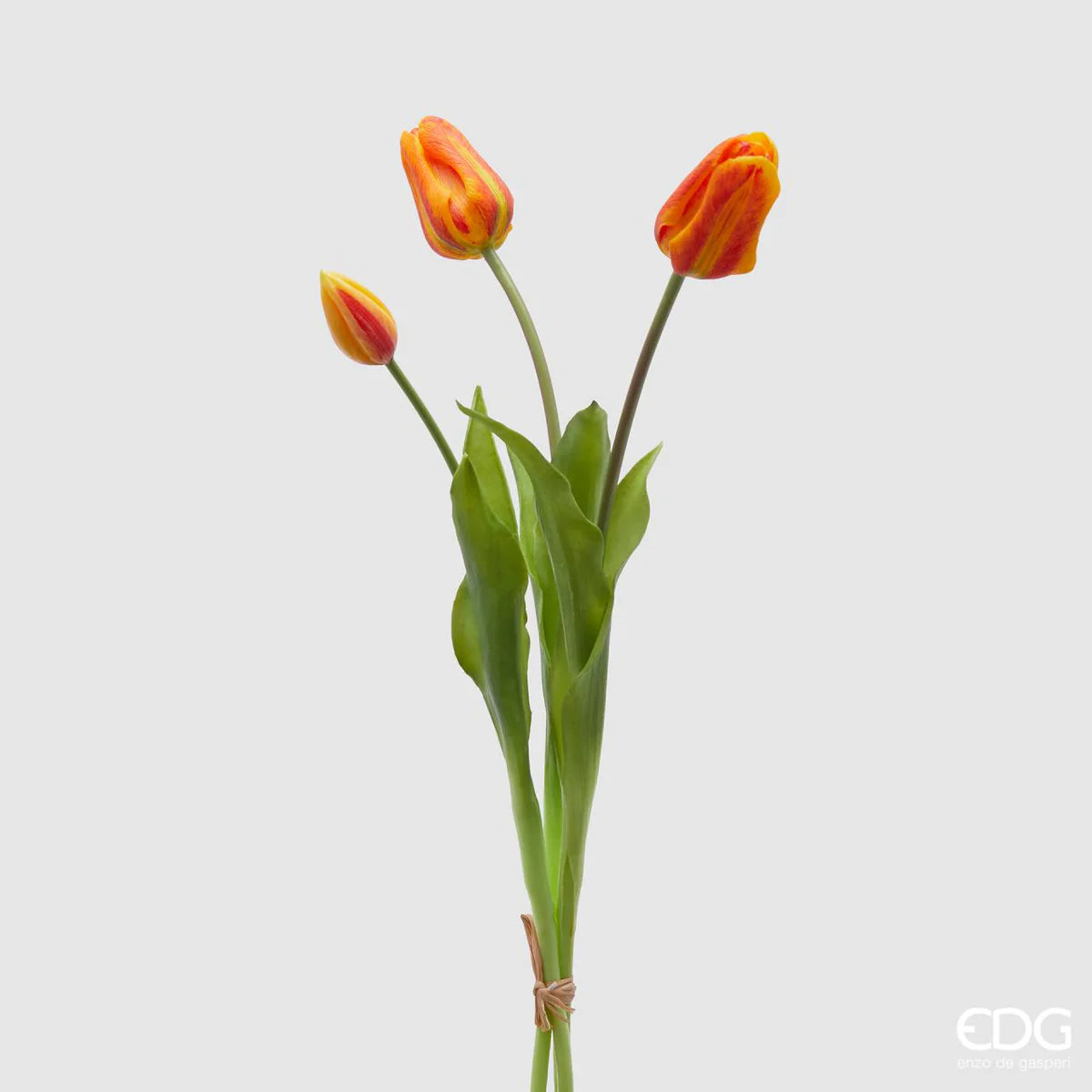 Tulipani EDG | Arancio
