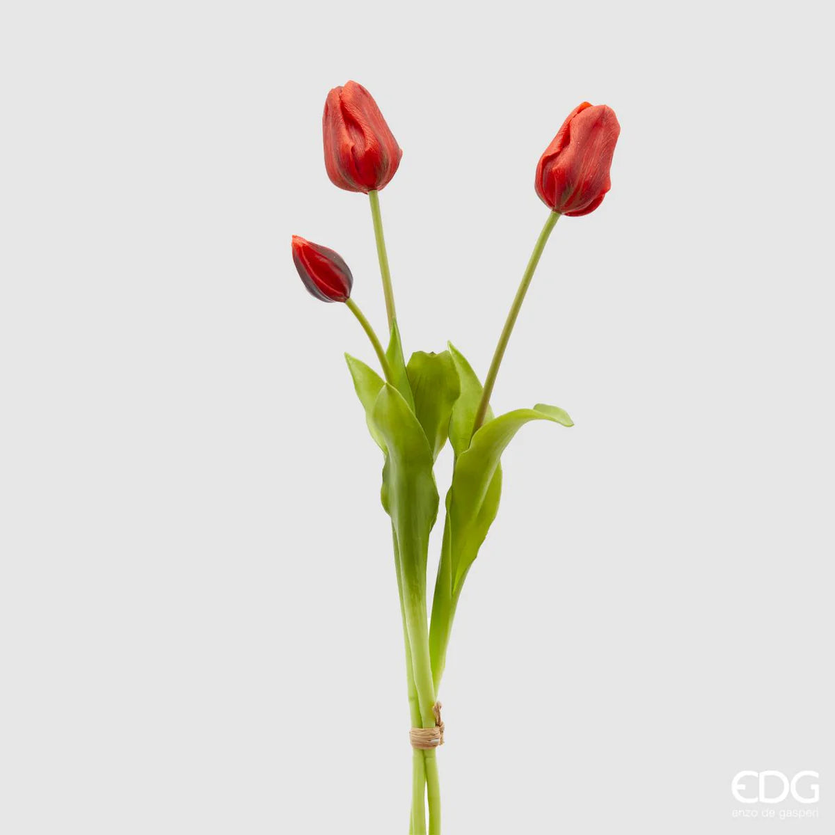 Tulipani EDG | Rosso
