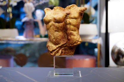 Busto Uomo Donna | ORO