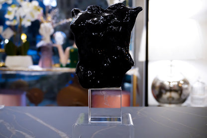 Busto Uomo Donna | Nero