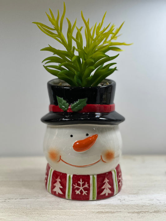 Piantina Natalizia Pupazzo di neve