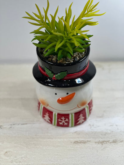 Piantina Natalizia Pupazzo di neve