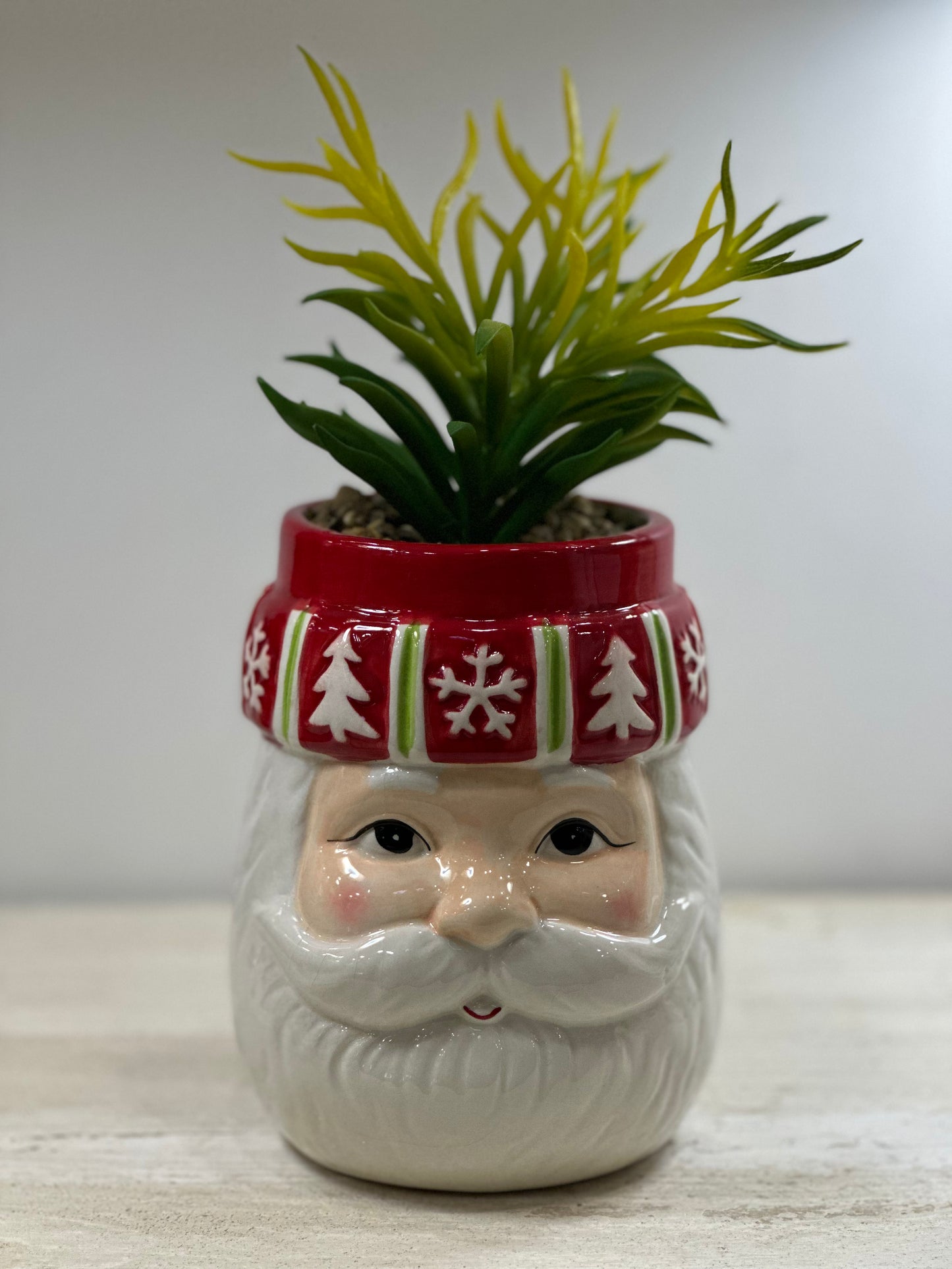 Piantina Natalizia Testa Babbo Natale