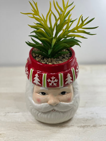 Piantina Natalizia Testa Babbo Natale