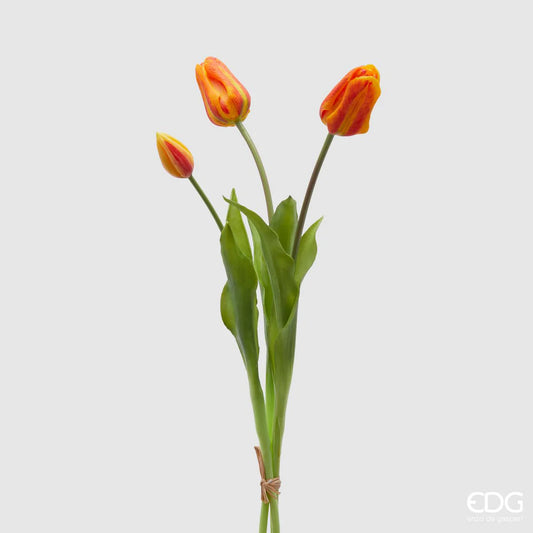 Tulipani EDG | Arancio
