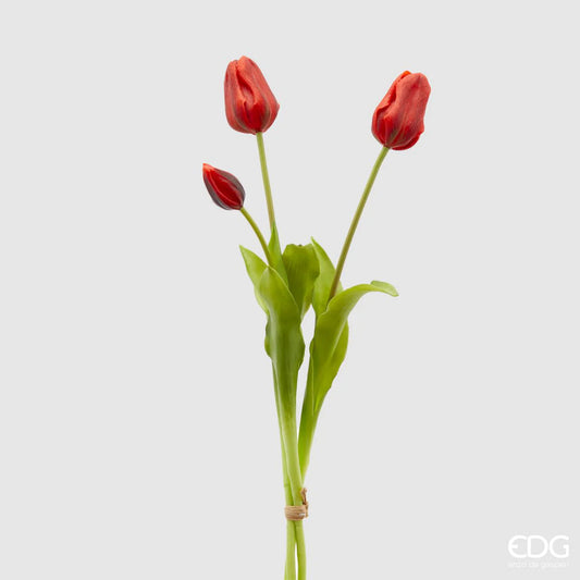 Tulipani EDG | Rosso